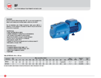 HOJA TECNICA Modelo BF